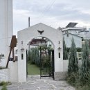 스테이 도토리 이미지