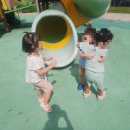 해맑은어린이집 이미지