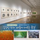 지역작가초대전 | 여수 예울마루 지역 작가 초대전 &lt;김강선 &#39;바람이 머무는 풍경&#39;&gt; 전시 후기