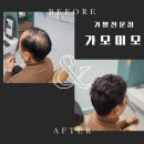 가모미모