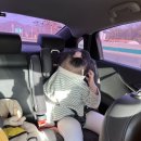 꽃의섬 | 20221130_ 3, 4살 아이랑 부산 2박 3일 여행 코스(총정리)