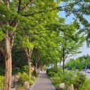 근력중심 필라테스 B | 중화산동 필라테스 추천, 다양한 부위의 근력향상은 어뉴필라테스 중화산동점