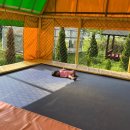 별자리펜션 | 경주 / 아이랑 가기 좋은 경주 글램핑 카라반 별자리 캠핑랜드