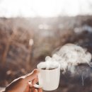 커피보까 이미지