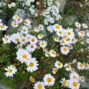 베리팜 펜션 이미지