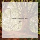 씨엠(CM)