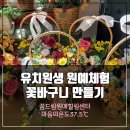 효문초등학교병설유치원 이미지