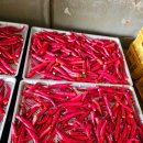 한백농장 이미지