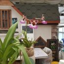 신기가족농장 이미지