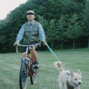 그래블 - 양주시 옥정동로7길 91 | 2026 볼드 그래블 in 대관령 삼양 라운드힐 행사 후기