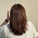 부천수석박물관 | 부천신중동미용실 추천 보그헤어 부천현대점 주현 수석실장 레이어드컷 후기