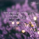 요한계시록19장의 어린양의 아내는 어머니 하나님 이미지