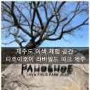 대지파크 | 제주 애월 '파호이호이 라바필드 파크 제주(3월 무료 입장)' 용암지질공원 방문 후기