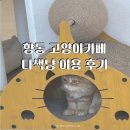 향동1로 | 향동 고양이 카페 다색냥 다녀온 후기