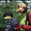 꽃마을로 이미지