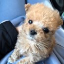 콩공인중개사사무소 이미지