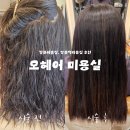 쌍문 미용실 오헤어 복구클리닉 뿌리매직 솔직한 후기