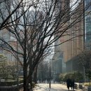 상업용 81 | 광화문 신상 카페 시그니처 프렌치 토스트 맛집 조앤도슨(Jo&amp;Dawson) 오픈! 웨이팅 후기