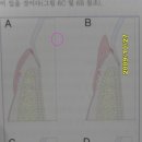 아쿠아동물병원 이미지