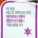 K-점핑줄넘기클럽 이미지