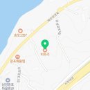 광포반점 이미지