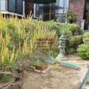 봉곡동161 이미지