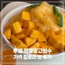 투썸플레이스인천강화점 | 투썸 애플망고빙수 가격 칼로리 맛 후기