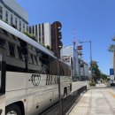 까치소 산장 옆 | [마쓰야마]유유버스투어 후기/고쇼지/가류산장/가미하가저택/시모나다역/반센소