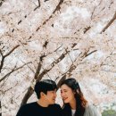 쿵쿵따 | 강릉 웨딩스냅 촬영 후기 | 봄 웨딩스냅 컨셉 &amp; 식전영상 제작까지 한 번에