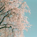 능수이발