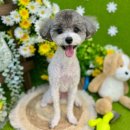 서울미용타운 이미지