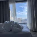 (주)올래여행사 | [Daily] 2박3일 제주도 2일차 l 제주차량(택시)투어 l 함덕해수욕장 l 해녀세자매 l 카페쉼표 l...
