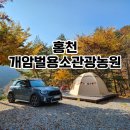 두촌관광타운 | 홍천 개암벌용소관광농원 D1 가을 단풍캠핑 애견동반