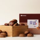 제철기획 중부매일