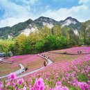 사랑이 있는 어린이 동산 이미지