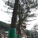 북한강 자전거도로2 이미지