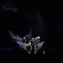 월드컵신발 이미지