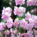 마곡사IC(당진)