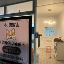 수멍발소 이미지