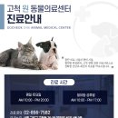 구일동물병원 네이버블로그