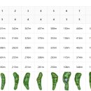 Top 스크린골프존 이미지