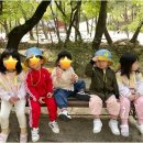 좋은씨앗어린이집 | 아이들 웃음이 가득한 성북구안심어린이집에서 행복의 씨앗 심기 이야기