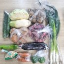 이일수 | 요즘 물가에 가능해? 식명관 천원의행복 식비절약 내돈내산 후기