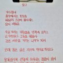 살구 - 이혜미 이미지