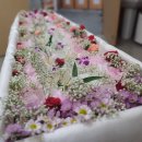 평택병원장례식장 이미지