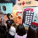 브로컬리컴퍼니