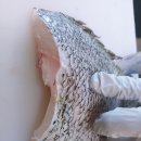 인생고기 이미지