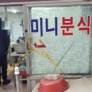 속초분식 티스토리