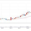 에스디(SD)유통 이미지