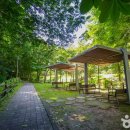 세천3로 이미지